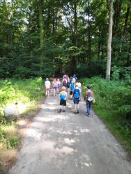 GKA_Wald Kinder spazieren im Wald